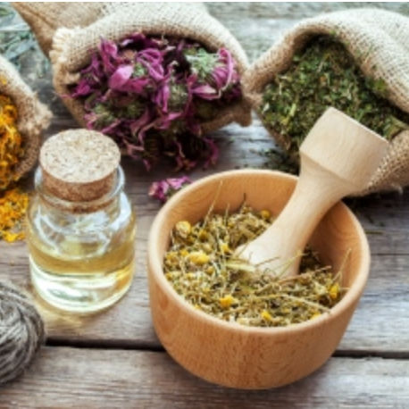 MEDICINE-MAKING WORKSHOP